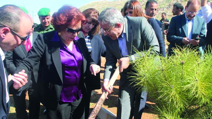 "الثقافة الأردنية" تنفذ المرحلة الأولى من مشروع "غابة الإبداع"