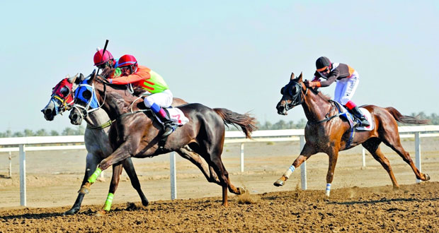 انطلاق السباق الختامي لموسم سباقات الخيل الأهلية .. السبت القادم