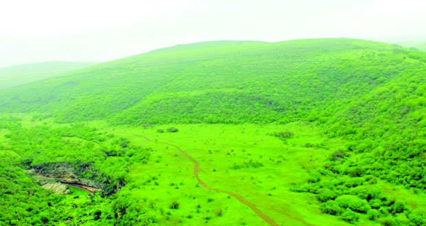 2674 غرفة فندقية .. وقريبا مشاريع جديدة لاستقبال زوار الخريف