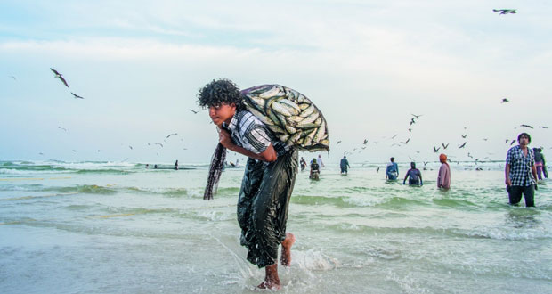 نمو متسارع في القطاعات الزراعية والسمكية