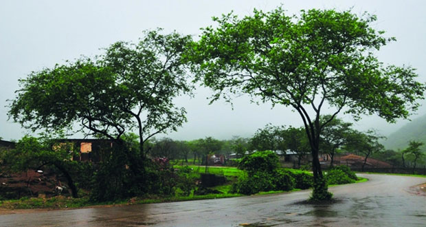 مهرجان صلالة السياحي 2016