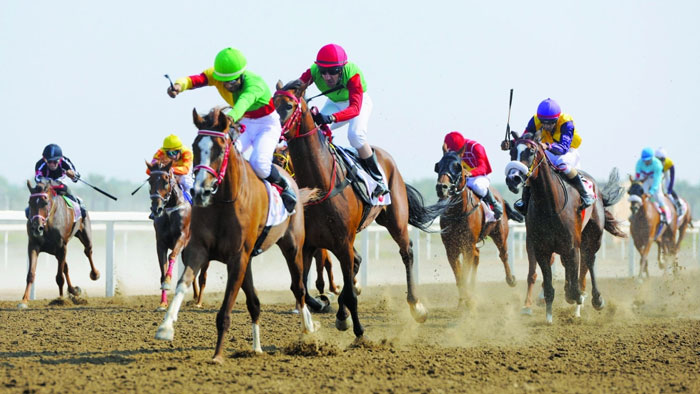 اليوم ..مضمار الرحبة يشهد سباق الخيل الرابع