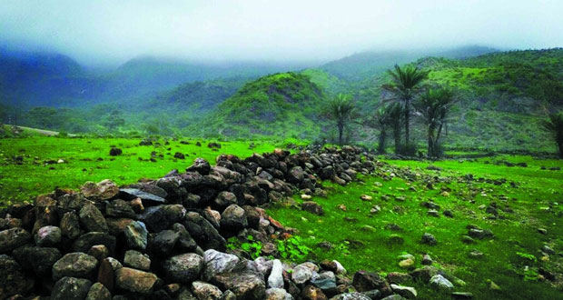 "رخيوت".. وجهة يقصدها الكثير من السياح