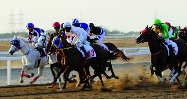 أكثر من (120) خيلا تشارك في سباق الخيل الثامن بالرحبة اليوم