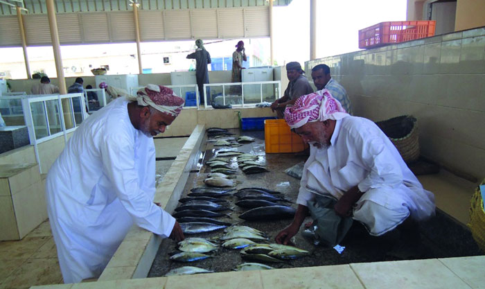3.6 مليون ريال عماني قيمة مبيعات سوق الجملة للأسماك في 2016 