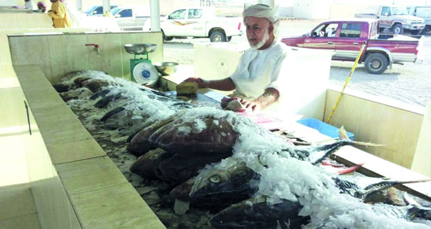 وزارة الزراعة والثروة السمكية: تطوير منظومة الأسواق السمكية في السلطنة 