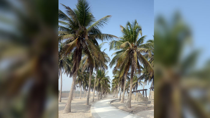 تطوير شاطئ الدهاريز والارتقاء بالمرافق السياحية بمحافظة ظفار
