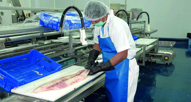 الصناعات السمكية: توظيف الموارد المتنوعة بكفاءة .. وفرص استثمارية لإنتاج الغذاء