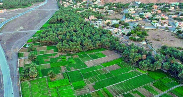 ضنك .. منجزات حضارية وتنموية وخدمات شاملة فـي كافة المجالات