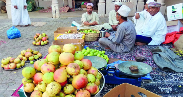 سوق نـزوى يستقبل كميات وفيرة من رمان الجبل الأخضر خلال يومين