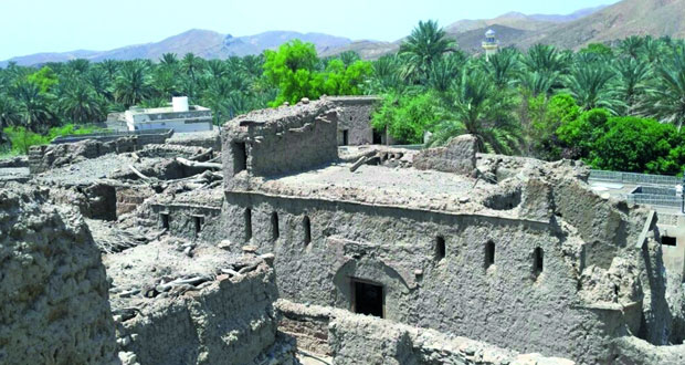 عدسة (الوطن) تستعرض جمال الطبيعة ومكنوناتها بواحات عبري الزراعية