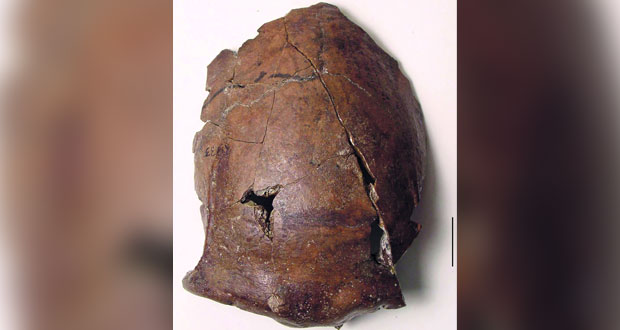 جمجمة قديمة عمرها 6000 سنة فـي بابوا غينيا الجديدة تخص أقدم ضحية معروف لتسونامي