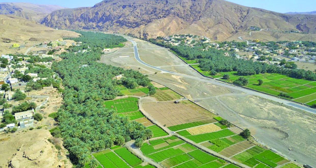 وادي فدى بضنك .. طبيعة خلابة وواحات زراعية نضرة