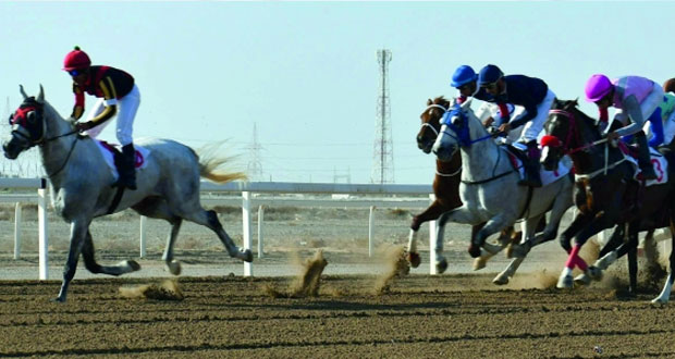  السباق الثامن لنادي سباق الخيل السلطاني