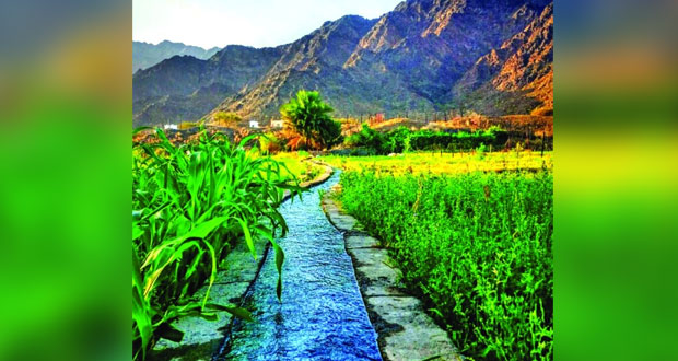 قرية (بعد) بالمضيبي .. شواهد تاريخية تخلد مجد الأجداد 