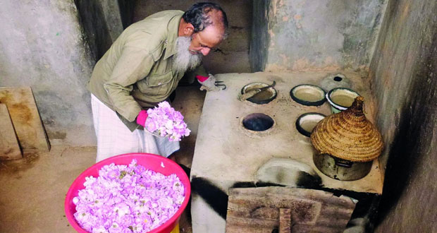 بدء موسم إنتاج ماء الورد بالجبل الأخضر