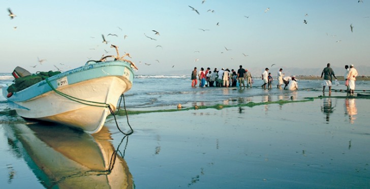 68.2 مليون ريال عماني قيمة الأسماك المنزلة بالصيد الحرفي بنهاية الربع الأول
