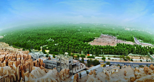 واحة الأحساء السعودية ضمن قائمة التراث العالمي