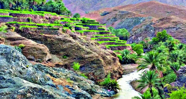 تباين التضاريس تفتح آفاقا واسعة للسياحة لنشاط غير مسبوق في محافظة شمال الباطنة