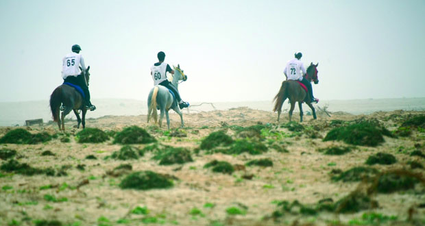  خمسة خيول تتمكن من إكمال السباق بنجاح إثارة ودهشة تشهدهما القدرة والتحمل بمهرجان صلالة السياحي