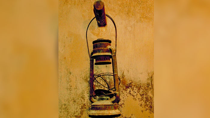 حمامة الكندية تقدم حلقة "التصوير الفوتوغرافي" بالموالح