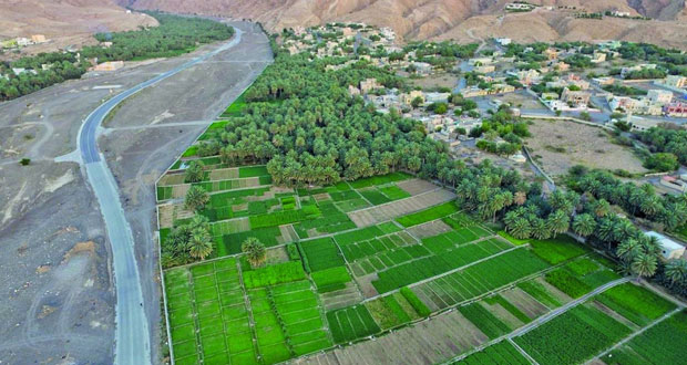 بلدة فدى بولاية ضنك مواقع جبلية نابضة بالحياة والجمال 