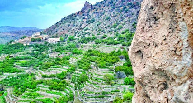 بطقس بارد شتاء ومعتدل صيفا الجبل الأخضر مقومات طبيعية وتنوع جغرافي وبيئي وزراعي