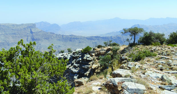 محمية الجبل الأخضر للمناظر الطبيعية تنتظر الاستثمار