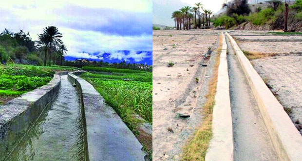 توقف فلج الشرقي بقرية عمق بالرستاق يحيل الأرض إلى صحراء قاحلة