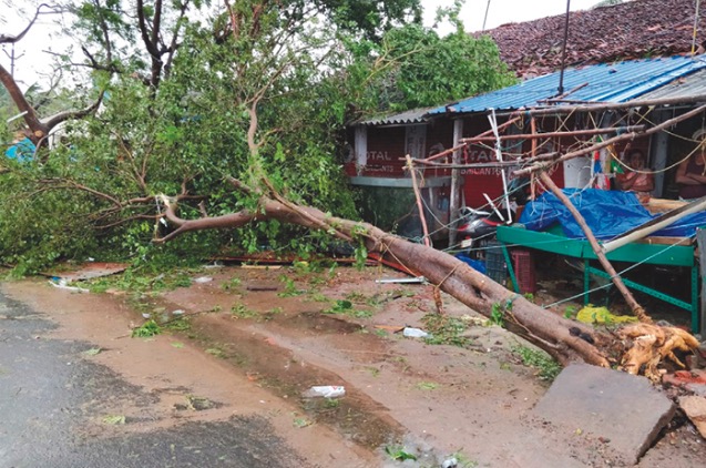 وفاة 11 شخصا مع وصول الإعصار جاجا لجنوب الهند