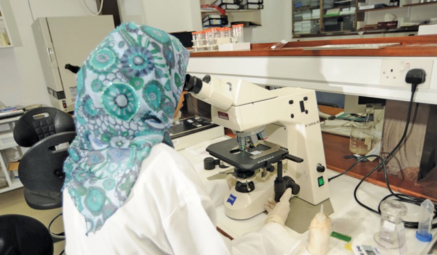 برؤية واضحة ومرتكزات ثابتة: السلطنة تدخل عصر الابتكار .. المنظومة الوطنية تحقق أهداف رؤية عمان 2040