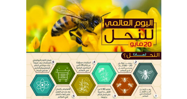 السلطنة تحتفل باليوم العالمي للنحل .. انتاج ٦١٥٧٥٢ كيلوجراما من العسل العام الماضي