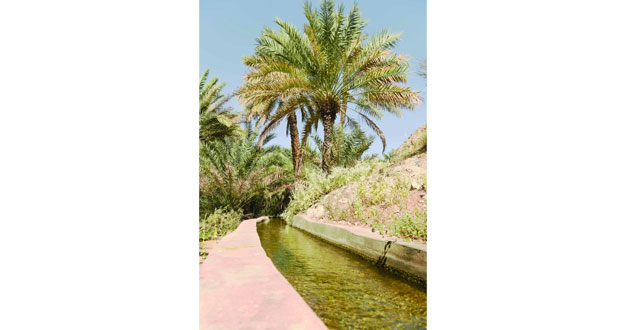 فلـج الأخطم