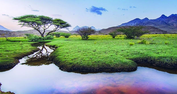 الطبيعة العمانية وتجليات توهجها في عيون العدسة