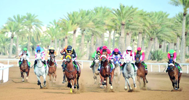 بمشاركة ١٢٠ خيلا مضمار الرحبة يشهد السباق السادس بثمانية أشواط