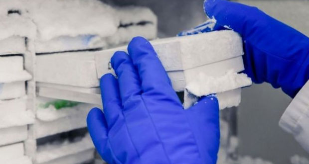 وصول الدفعة الثانية من لقاح «فايزر ـ بيو أنتيك»