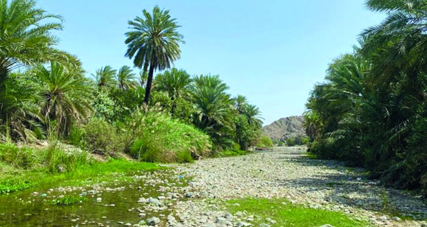 قرية فزح .. مقومات طبيعية تجذب السياح