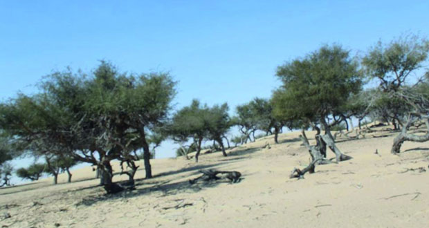 وادي اللبيدعة .. مزار سياحي طوال العام