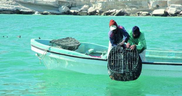 أكثر من 176.2 طن إجمالي كمية الأسماك المنزلة في السلطنة بنهاية فبراير الماضي