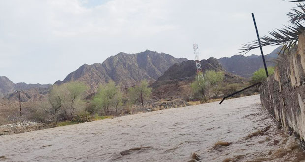 أمطار على دماء والطائيين