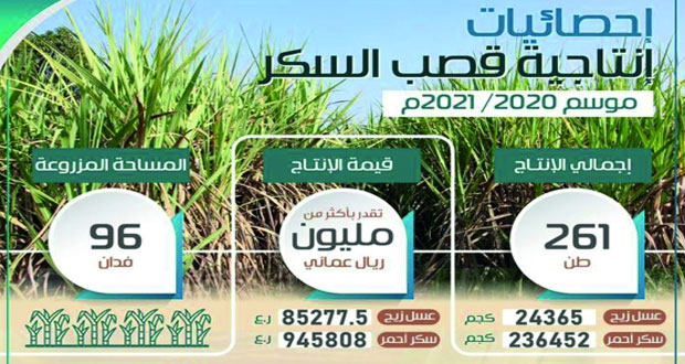 أكثر من مليون ريال عماني قيمة إنتاج محصول قصب السكر فـي الموسم الزراعي 2020/2021م