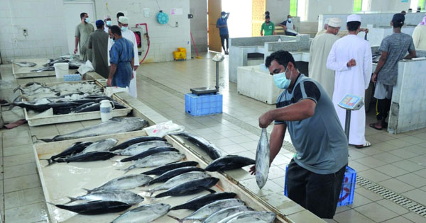 أكثر من 21 مليون ريال عماني قيمة الإنزال السمكي خلال يونيو الماضي