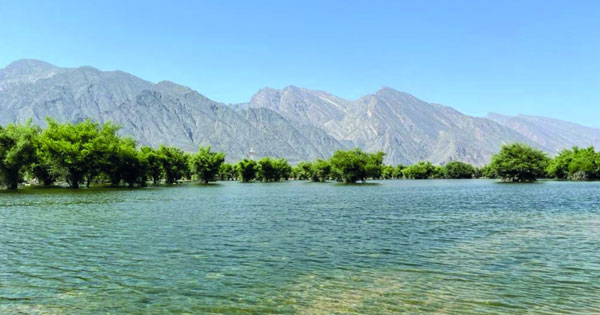 وادي حلفين .. بساتين خضراء وطبيعة ساحرة