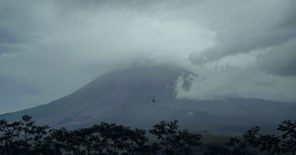 نشاط بركان «سيميرو» يعيق جهود فرق الانقاذ