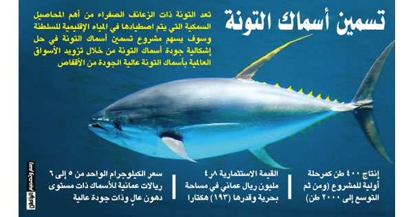استثمارات بـ13.4 مليون ريال لتسمين أسماك التونة واستزراع الأسماك الزعنفية