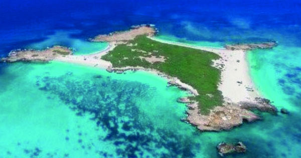 جزر الديمانيات .. حاضنة الحياة الفطرية والطيور المهاجرة