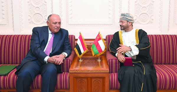 وزير الخارجية ونظيره المصري يؤكدان عمق العلاقات ويستعرضان القضايا المشتركة