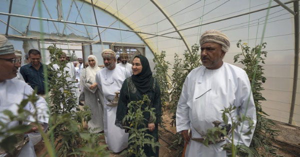 افتتاح مشروع البيوت المحمية الخضراء فـي إبراء