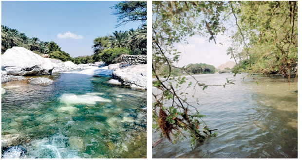 طبيعة ساحرة فـي أودية الرستاق