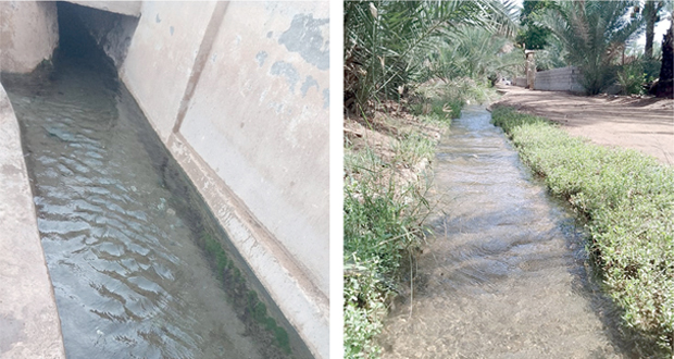 مساحات شاسعة من البساتين والمزارع يرويها فلج &laquo;الوافـي عندام&raquo;